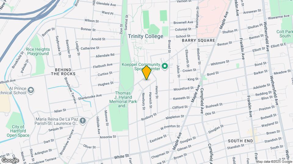 249 New Britain Ave Mapa y Detalles de la Ubicación