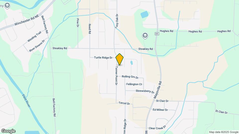 217 Tanner Point Dr Map and Location Details