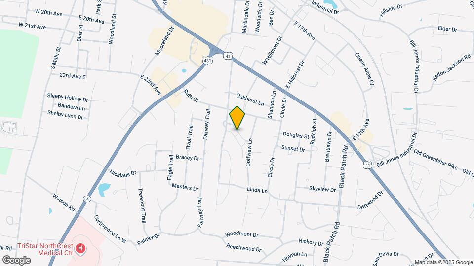 131 Dimaggio Dr Map and Location Details
