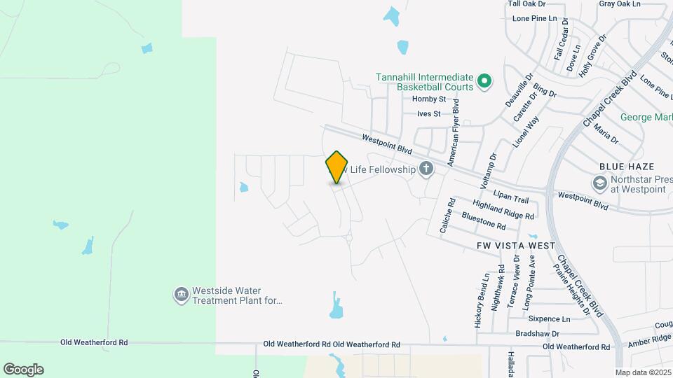 1037 Costa Vista Trl Mapa y Detalles de la Ubicación