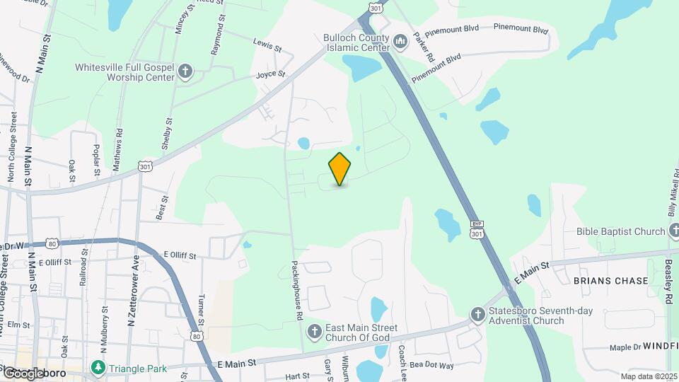 169 Braxton Blvd Map and Location Details