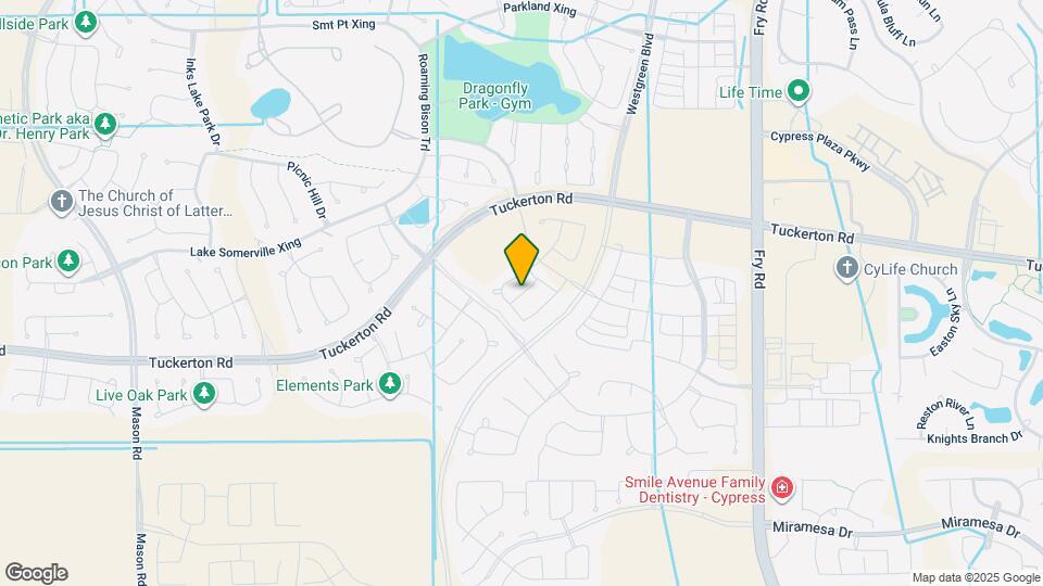 15110 Dry Crk Jct Pl Mapa y Detalles de la Ubicación