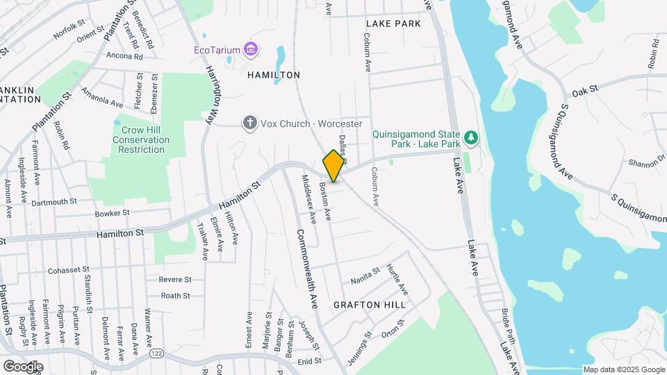 8 Elton St Mapa y Detalles de la Ubicación