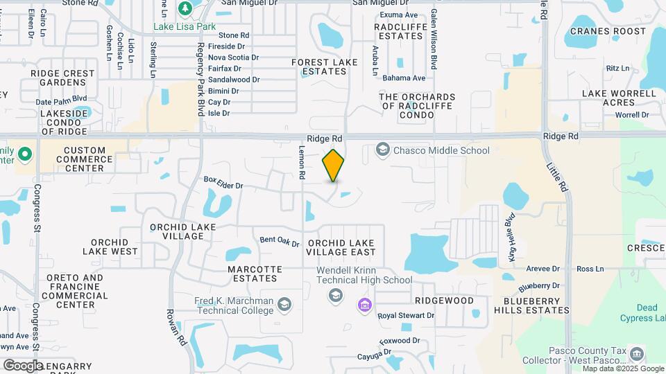 Agora at Port Richey Mapa y Detalles de la Ubicación