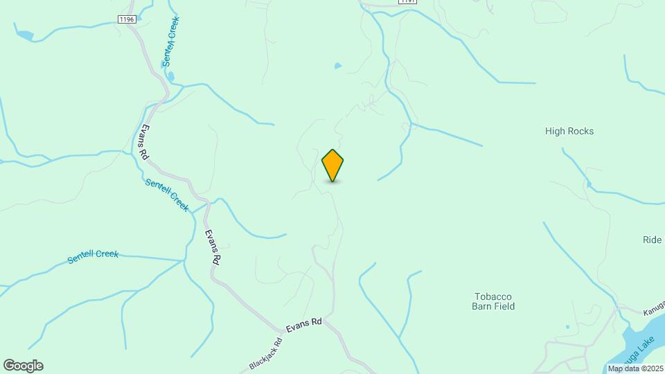 1208 Kanuga Ridge Rd Map and Location Details