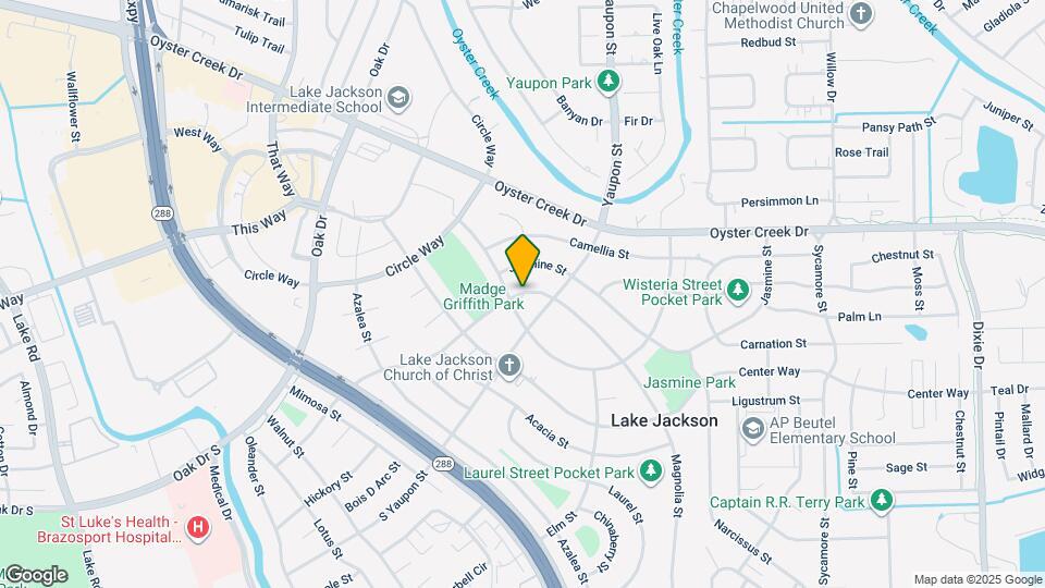 408 Magnolia Ln Mapa y Detalles de la Ubicación