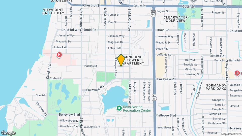 917 Pinellas St Map and Location Details