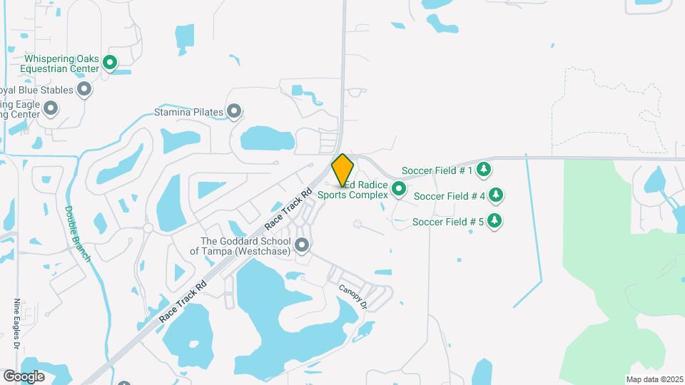 11210 Roseate Dr Map and Location Details