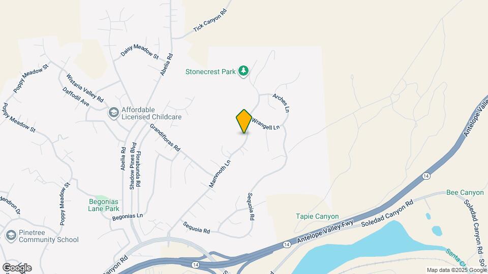 29557 Mammoth Ln Mapa y Detalles de la Ubicación