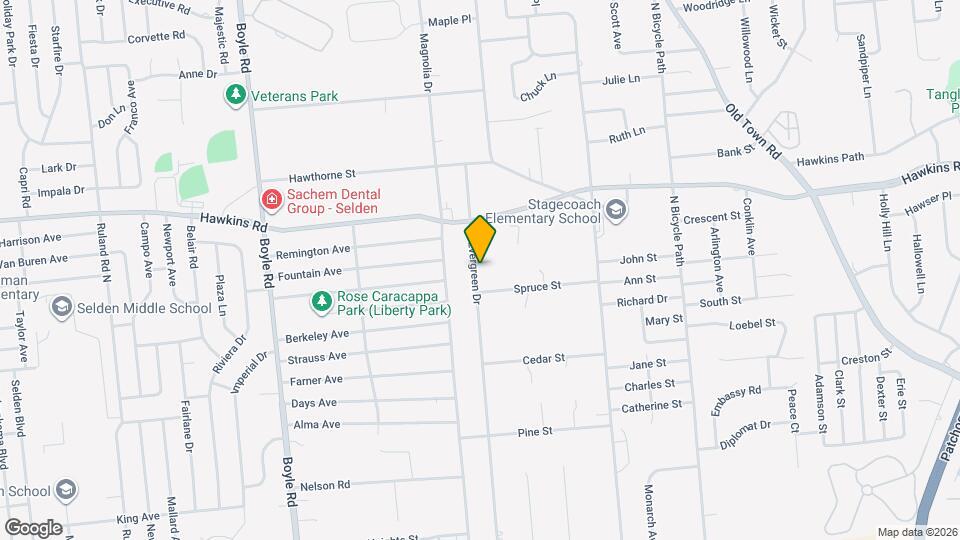 203 N Evergreen Dr Mapa y Detalles de la Ubicación