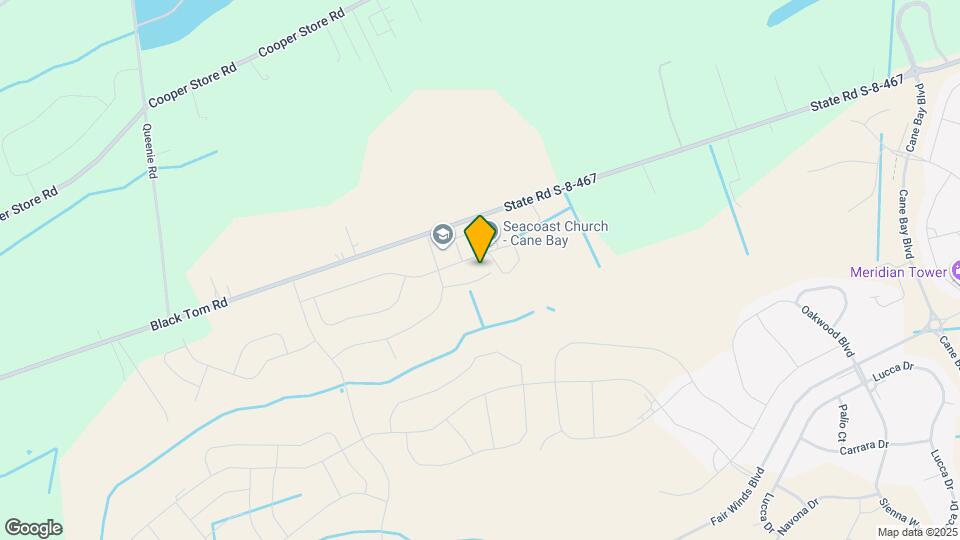 318 Calla Lily Ct Mapa y Detalles de la Ubicación