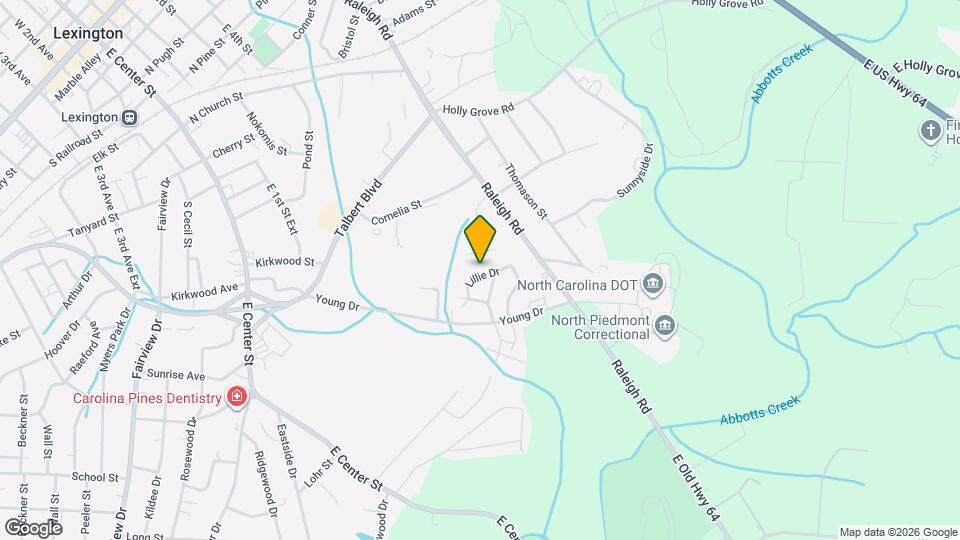 205 Lillie Dr Map and Location Details