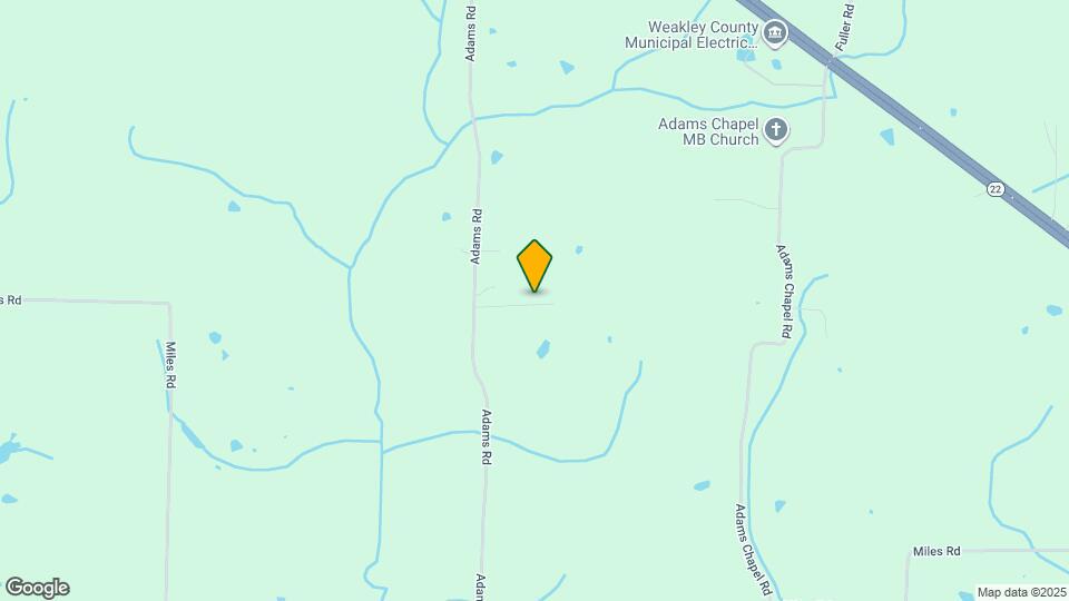 157 Davis Ln Map and Location Details