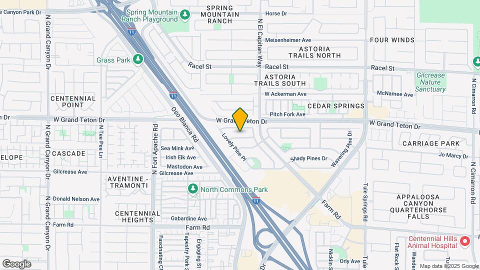 8832 Big Bear Pines Ave Map and Location Details