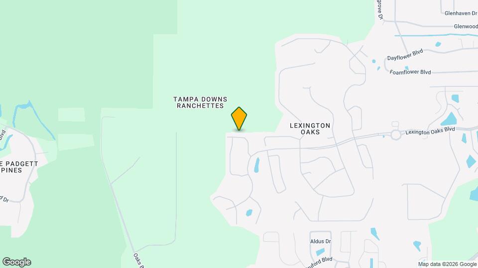 25313 Flying Ebony Ln Map and Location Details