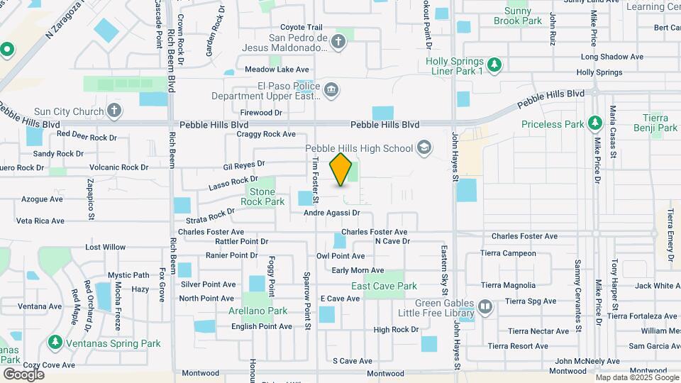 14313 Arthur Ashe Ct Map and Location Details