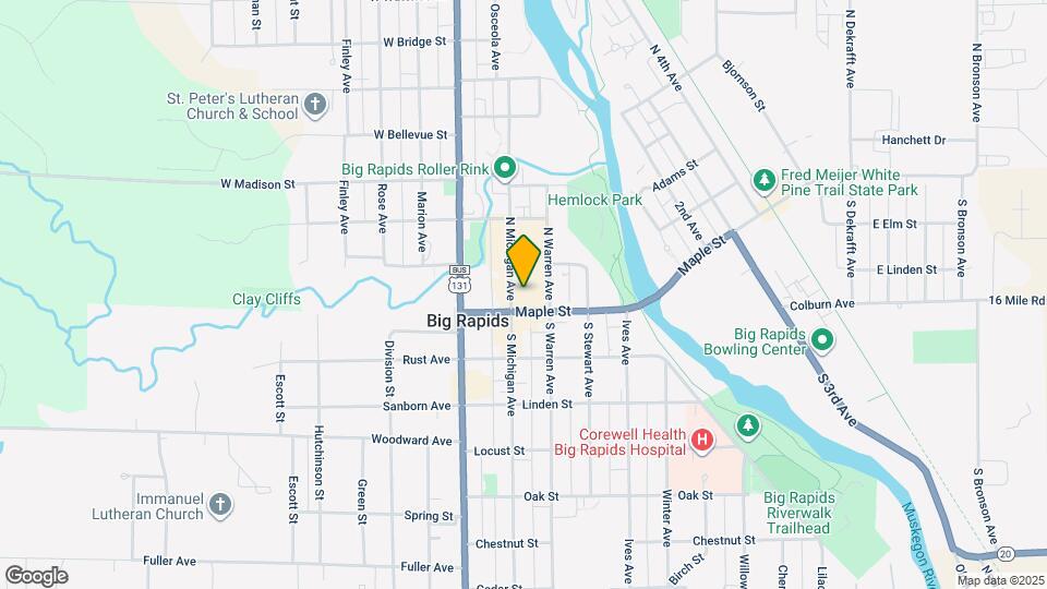 110 N Michigan Ave Map and Location Details