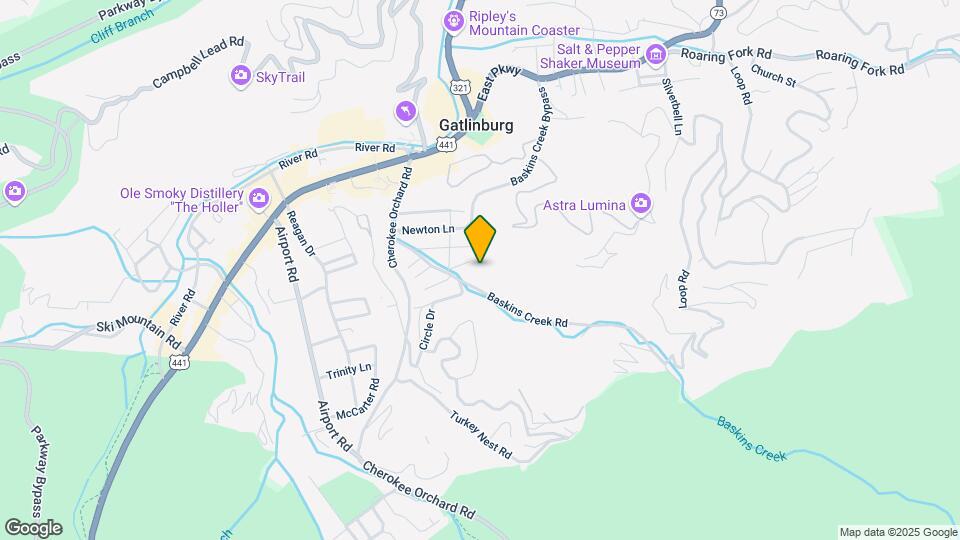 413 Baskins Creek Mapa y Detalles de la Ubicación