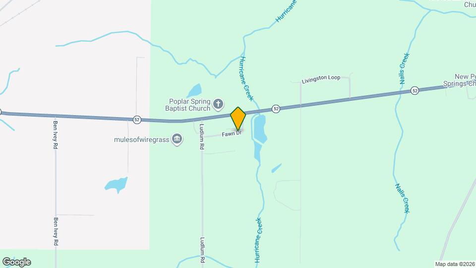 176 Fawn Dr Mapa y Detalles de la Ubicación