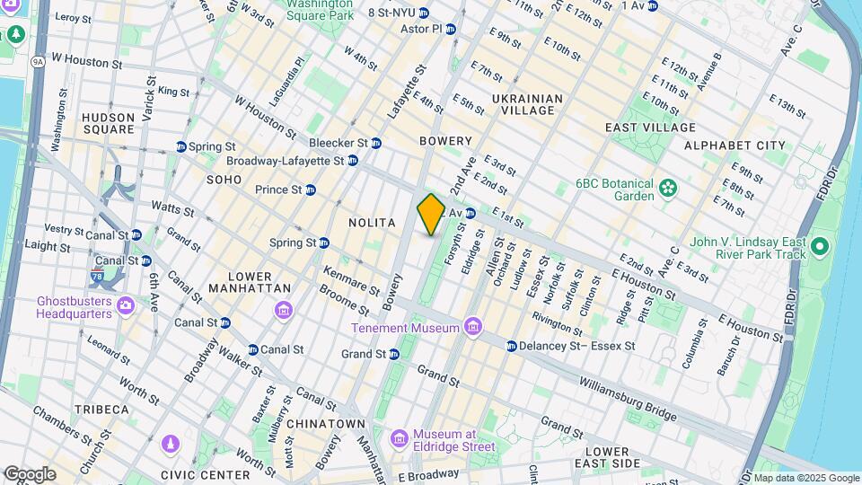 203 Chrystie Street Map and Location Details