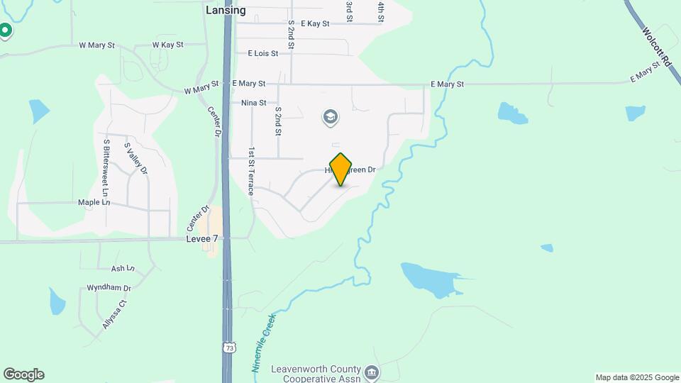 325 Fawn Valley St Map and Location Details