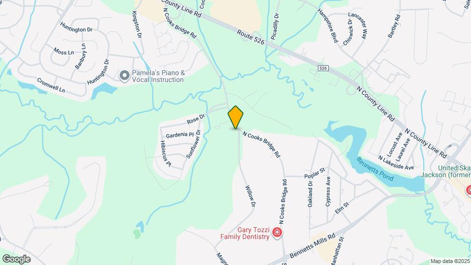 196 Willow Dr Map and Location Details