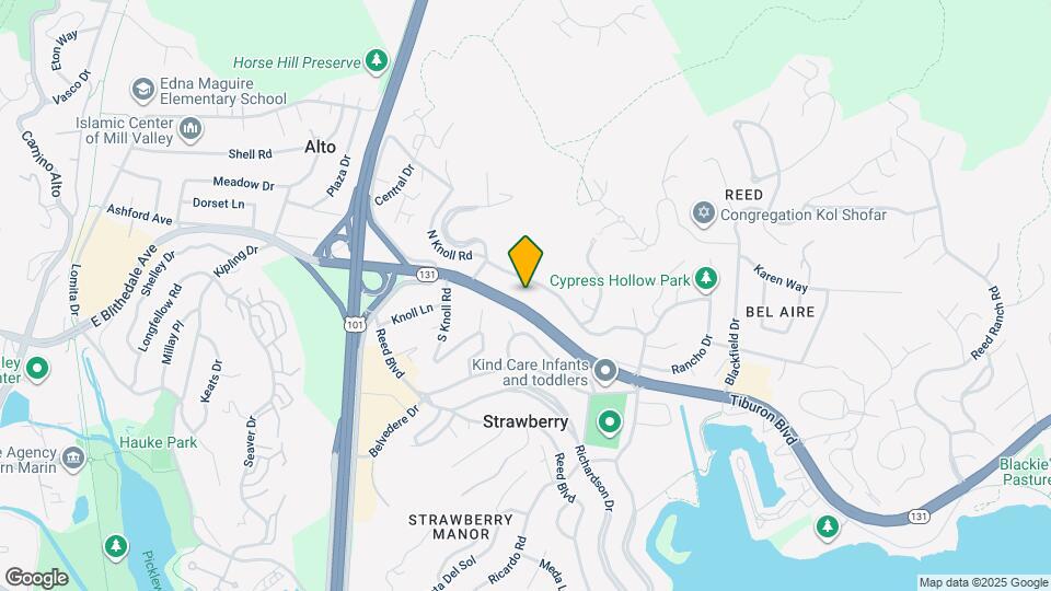 133 Tiburon Blvd Map and Location Details