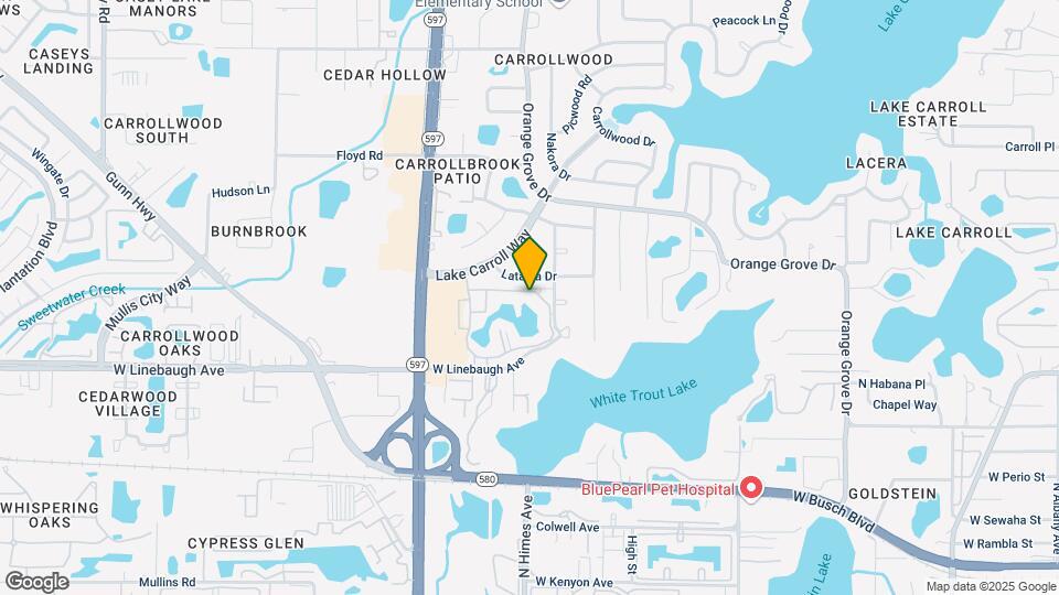 10380 Carrollwood Ln Map and Location Details