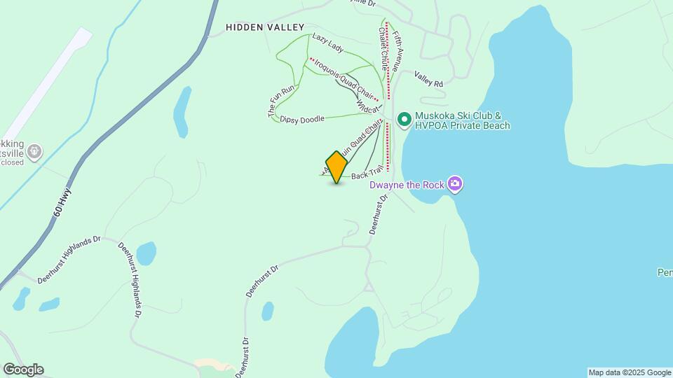 11 Tree Tops Ln Map and Location Details