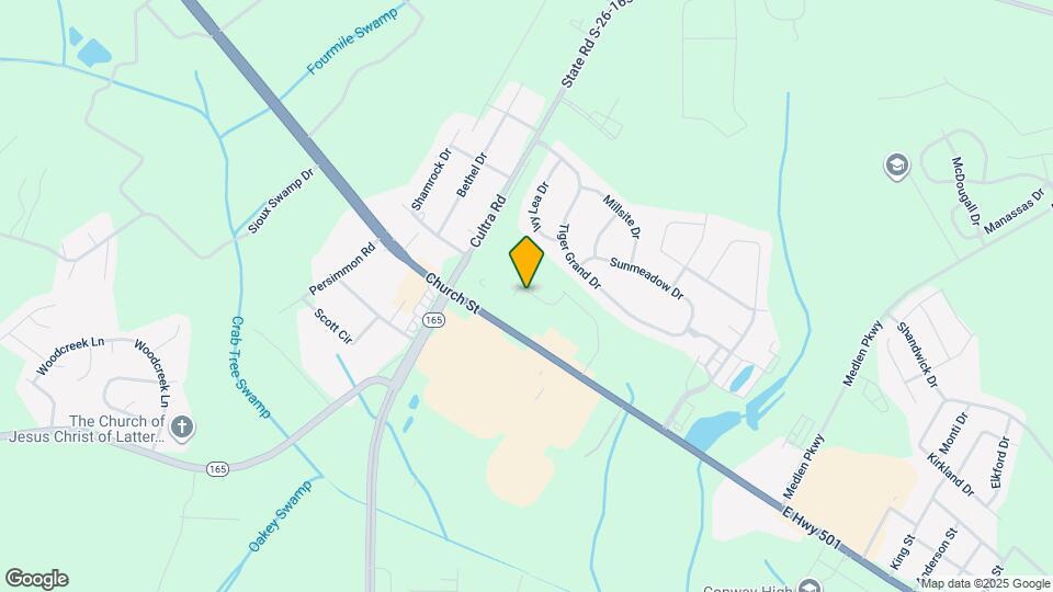 1301 American Shad St Map and Location Details