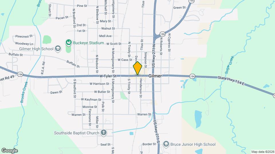 113 W Tyler St Mapa y Detalles de la Ubicación