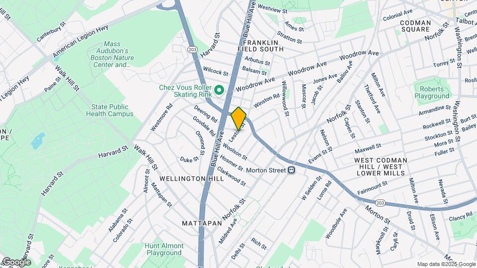 20 Leston St, Unit 1 Map and Location Details