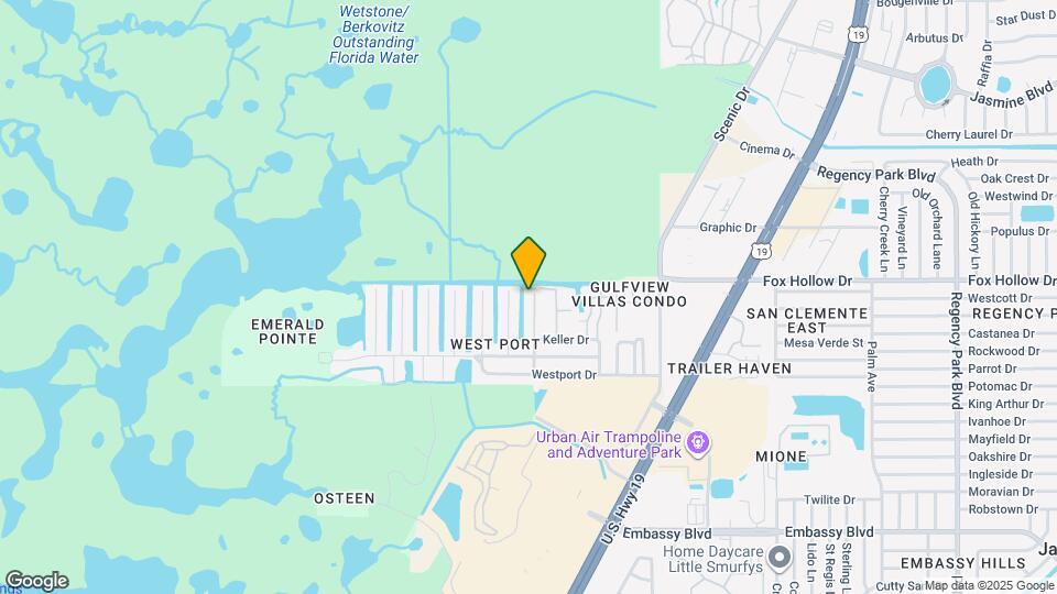 9925 Grace Dr Map and Location Details