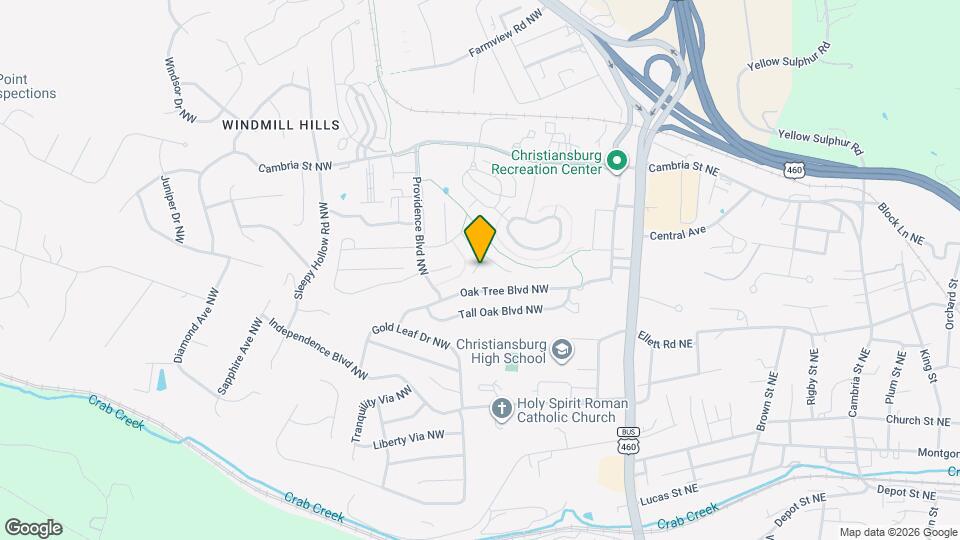 175 Blue Leaf Dr Mapa y Detalles de la Ubicación