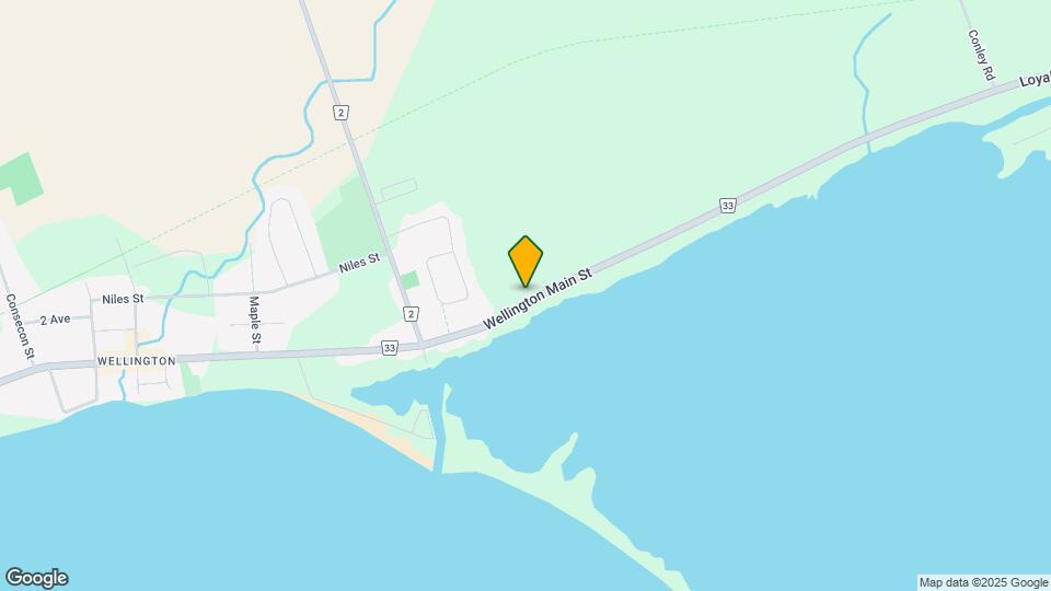 106 Wellington Main St Map and Location Details