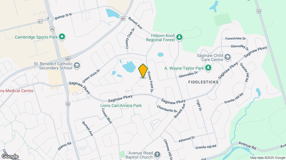 97 Stonecairn Dr Map and Location Details