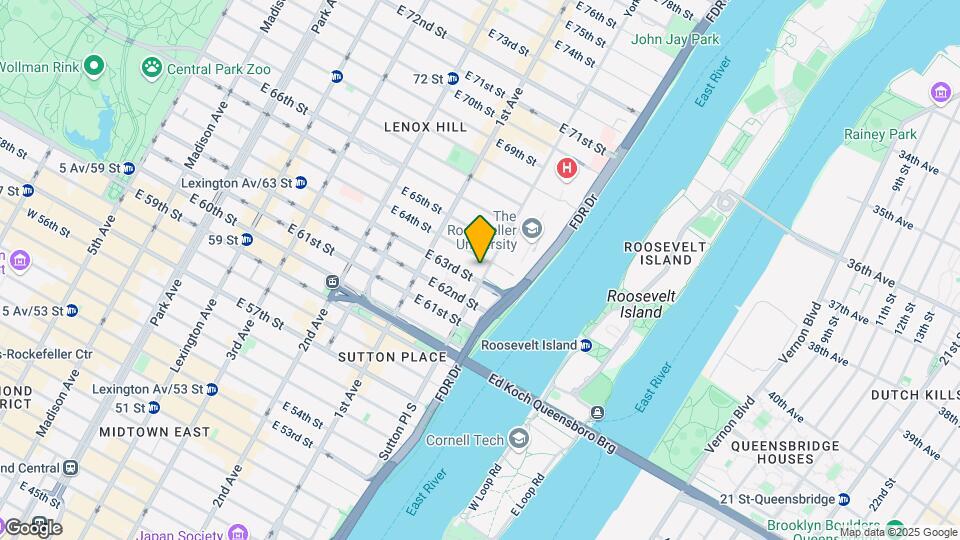 463E E 63rd St Mapa y Detalles de la Ubicación