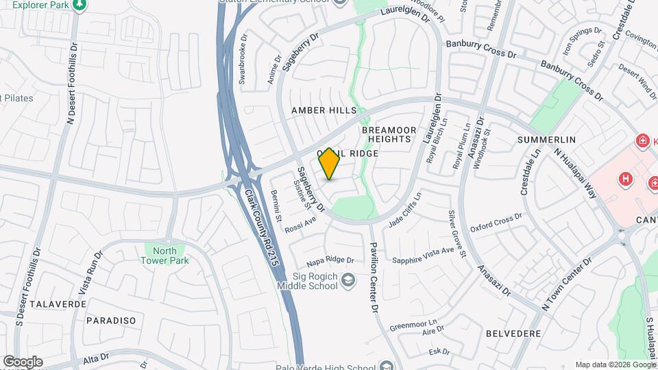 11013 Desert Dove Ave Mapa y Detalles de la Ubicación