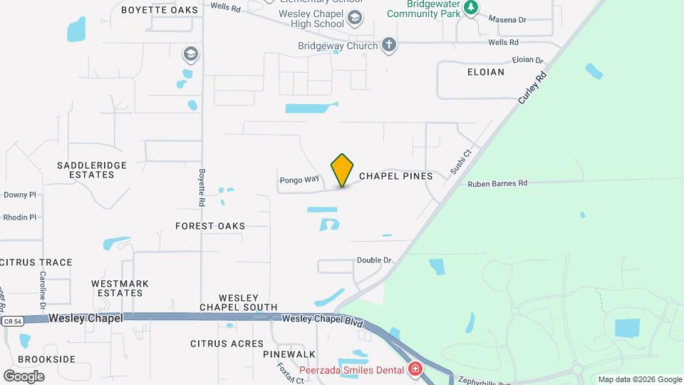 30500 Birdhouse Dr Mapa y Detalles de la Ubicación