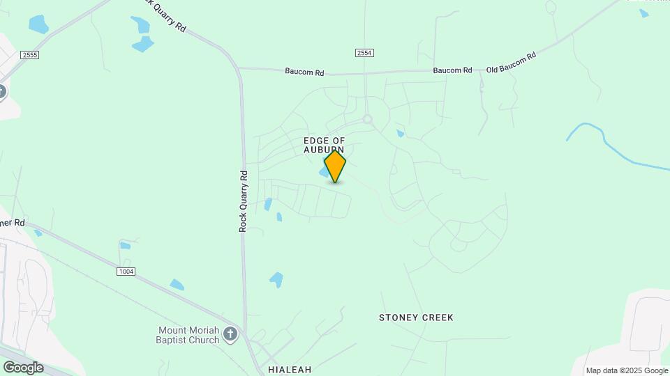 303 Aster Bloom Ln Map and Location Details