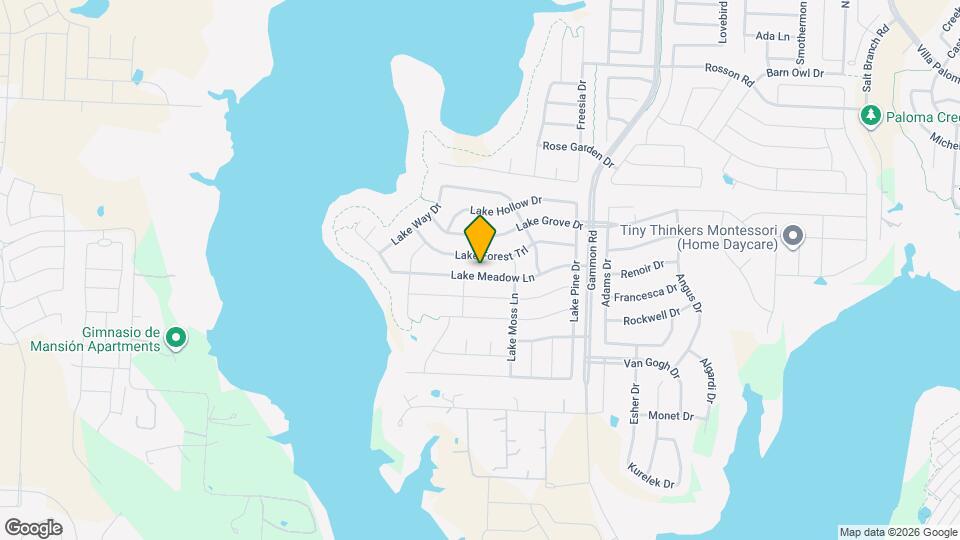 917 Lake Meadow Ln Mapa y Detalles de la Ubicación