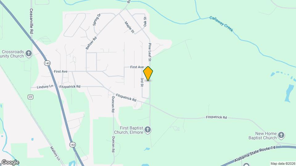 169 Pine Leaf St Map and Location Details