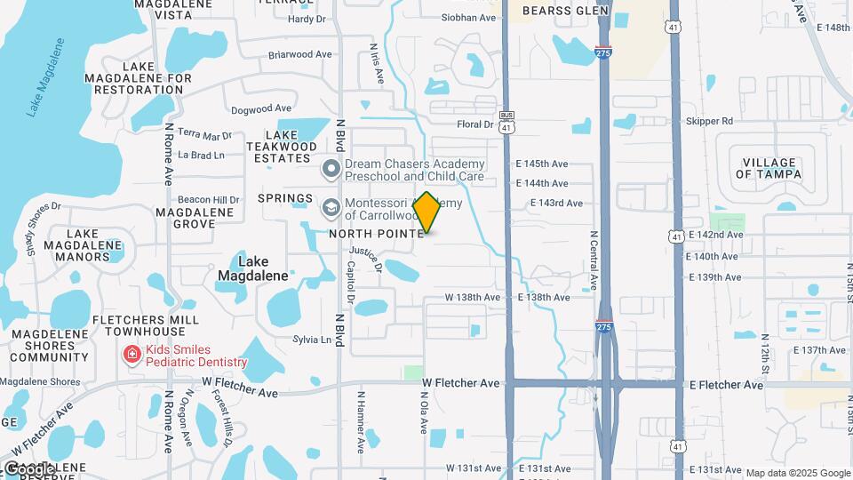 133 Neving Dr Map and Location Details