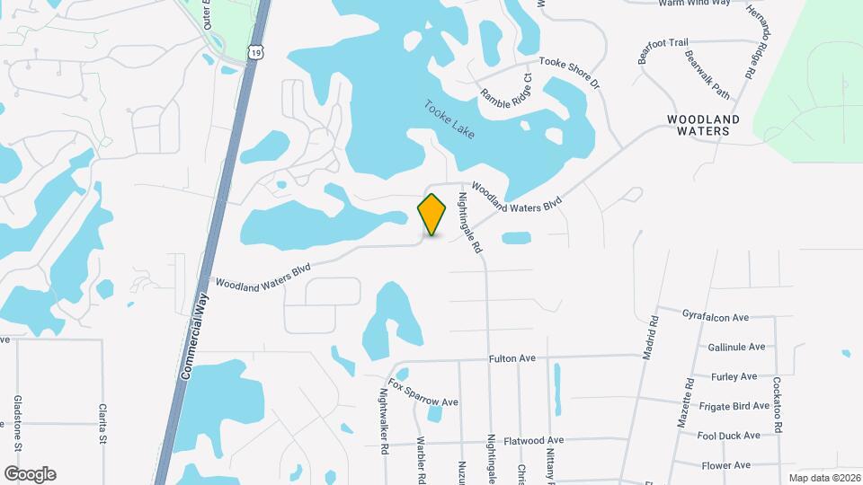 10300 Woodland Waters Blvd Mapa y Detalles de la Ubicación