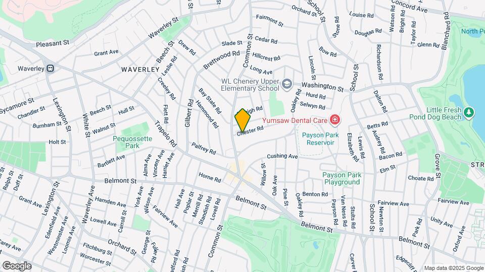15 Chester Rd Mapa y Detalles de la Ubicación