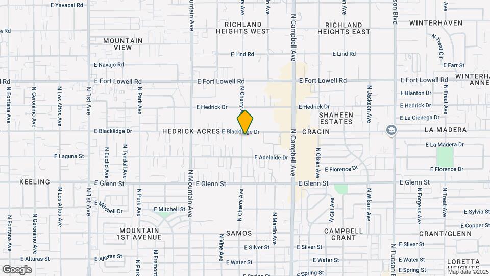 1602 E Blacklidge Dr Mapa y Detalles de la Ubicación