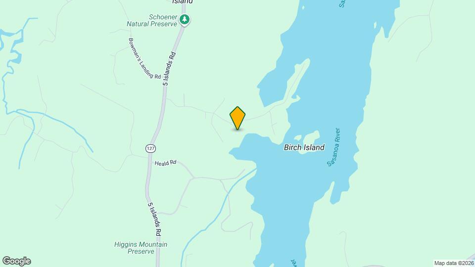61 Birch Island Ln Mapa y Detalles de la Ubicación