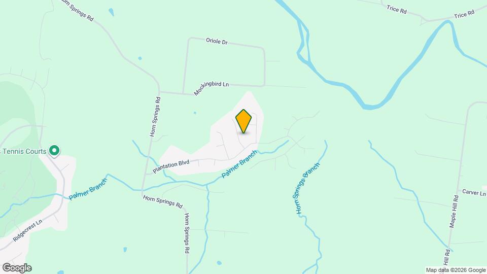 904 Bonnie Blue Way Mapa y Detalles de la Ubicación