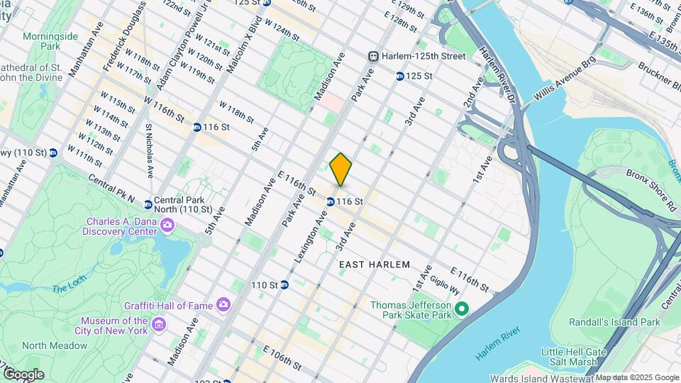 156 E 117th St-Unit -1C Mapa y Detalles de la Ubicación