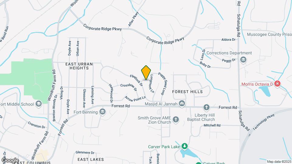 5009 Mint Dr Map and Location Details